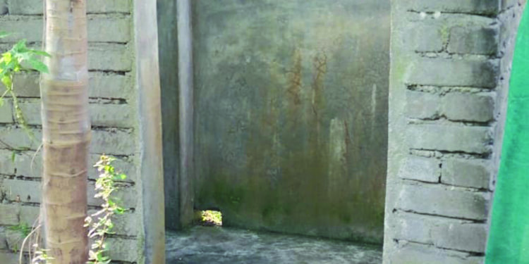 ଚଳୁ କରିଦେଲେ ଶହ ଶହ ପାଇଖାନା