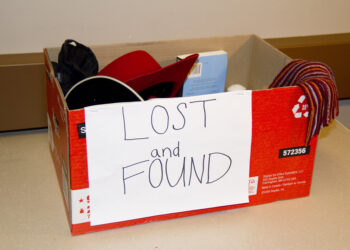 ହଜିଯାଇଥିବା ଏବଂ ଫେରି ପାଇବା ଦିନ