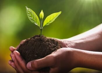 ବିଶ୍ୱ ମୃତ୍ତିକା ଦିବସ