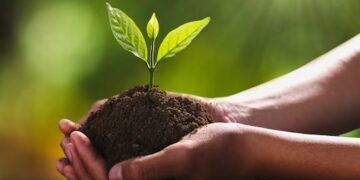 ବିଶ୍ୱ ମୃତ୍ତିକା ଦିବସ