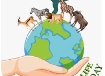 ବିଶ୍ୱ ବନ୍ୟଜନ୍ତୁ ସଂରକ୍ଷଣ ଦିବସ