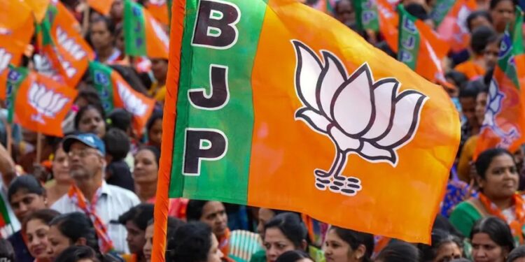 ବିଜେପିର ଓଡ଼ିଶା ପ୍ରଭାରୀ ବିଜୟପାଲ ସିଂ ତୋମାର