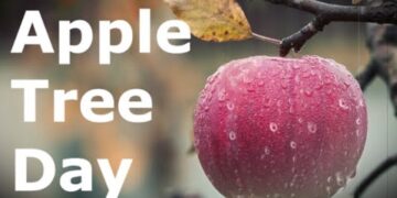 Apple Tree Day