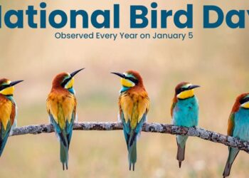 National Bird Day