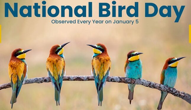 National Bird Day