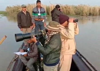 ଆରମ୍ଭ ହେଲା ଚିଲିକା ହ୍ରଦରେ ପକ୍ଷୀ ଗଣନା କାର୍ଯ୍ୟ