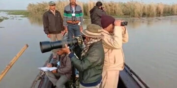 ଆରମ୍ଭ ହେଲା ଚିଲିକା ହ୍ରଦରେ ପକ୍ଷୀ ଗଣନା କାର୍ଯ୍ୟ