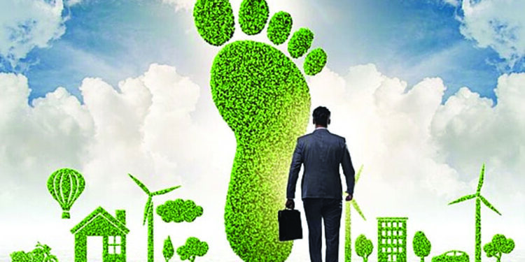 THE HUMAN FOOTPRINT:UNRAVELLING THE ENGIMA OF PROFIT MOTIVE IN NATURE