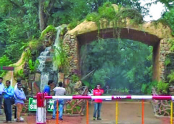 ଫାଙ୍କା ପଡ଼ିଛି ୧୮୧ ଫରେଷ୍ଟର ଓ ଫରେଷ୍ଟ ଗାର୍ଡ ପଦବୀ