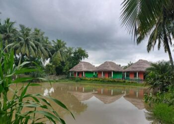 ଏଣିକି ରେଳରେ ଯାଇହେବ ଭିତରକନିକା ଜାତୀୟ ଉଦ୍ୟାନ