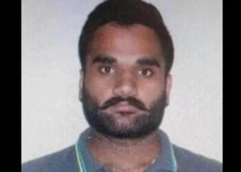 ଗ୍ୟାଙ୍ଗଷ୍ଟର ଗୋଲ୍ଡି ବରାଡ ଉପରେ କାର୍ଯ୍ୟାନୁଷ୍ଠାନ