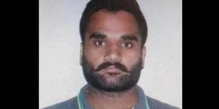 ଗ୍ୟାଙ୍ଗଷ୍ଟର ଗୋଲ୍ଡି ବରାଡ ଉପରେ କାର୍ଯ୍ୟାନୁଷ୍ଠାନ