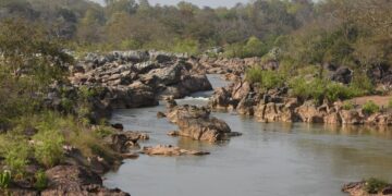 କୋରାପୁଟ ଗୁପ୍ତେଶ୍ଵର ଜଙ୍ଗଲକୁ ଜୈବବିବିଧ ଐତିହ୍ୟସ୍ଥଳୀ ଭାବେ ଘୋଷଣା