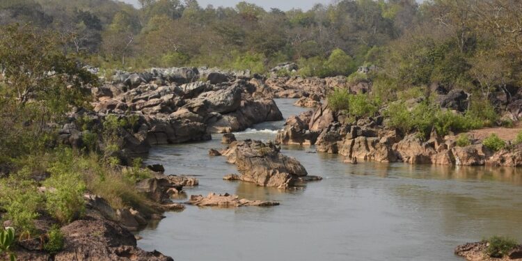 କୋରାପୁଟ ଗୁପ୍ତେଶ୍ଵର ଜଙ୍ଗଲକୁ ଜୈବବିବିଧ ଐତିହ୍ୟସ୍ଥଳୀ ଭାବେ ଘୋଷଣା