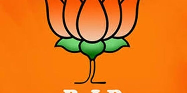 ପ୍ରଭାରୀଙ୍କ ସହ ଦିଲ୍ଲୀ ଗଲେ ରାଜ୍ୟ ଭାଜପା ନେତୃତ୍ୱ