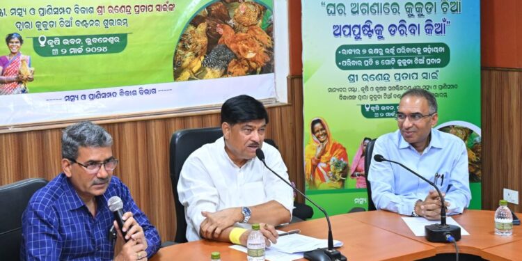 ଲୋକଙ୍କୁ ପୁଷ୍ଟି ଖାଦ୍ୟ ଯୋଗାଇବା ପାଇଁ ଆରମ୍ଭ ହେଲା କୁକୁଡ଼ା ଚିଆଁ ବଣ୍ଟନ କାର୍ଯ୍ୟକ୍ରମ