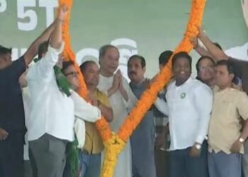 ଯୋଡ଼ି ଶଙ୍ଖ ବିକାଶର ପରିଚୟ :ନବୀନ