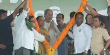 ଯୋଡ଼ି ଶଙ୍ଖ ବିକାଶର ପରିଚୟ :ନବୀନ