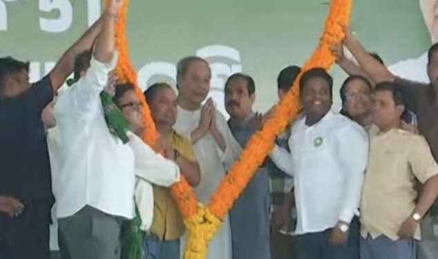 ଯୋଡ଼ି ଶଙ୍ଖ ବିକାଶର ପରିଚୟ :ନବୀନ