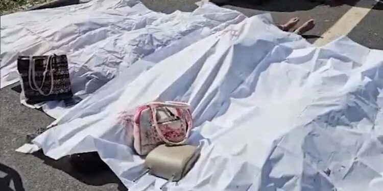 ଟ୍ରେଲରକୁ ଧକ୍କା ଦେଲା କାର, ମର୍ମନ୍ତୁଦ ଦୁର୍ଘଟଣାରେ ୧୦ ମୃତ