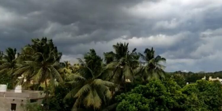 କେରଳ ଛୁଇଁଲା ମୌସୁମୀ