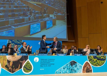 ବିଶ୍ୱ ବୈଶ୍ୱିକ ସମ୍ପତ୍ତି ସଂଗଠନ, ଭାରତ ଏବଂ ବିକାଶଶୀଳ ଦେଶ ପାଇଁ ଏକ ବଡ଼ ବିଜୟ