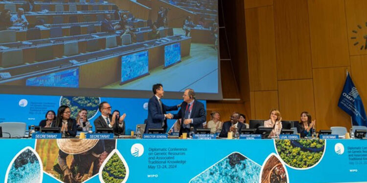 ବିଶ୍ୱ ବୈଶ୍ୱିକ ସମ୍ପତ୍ତି ସଂଗଠନ, ଭାରତ ଏବଂ ବିକାଶଶୀଳ ଦେଶ ପାଇଁ ଏକ ବଡ଼ ବିଜୟ