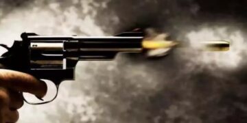 ଭିଣୋଇ ଫୁଟାଇଥିବା ଗୁଳିରେ ଶଳା ମୃତ