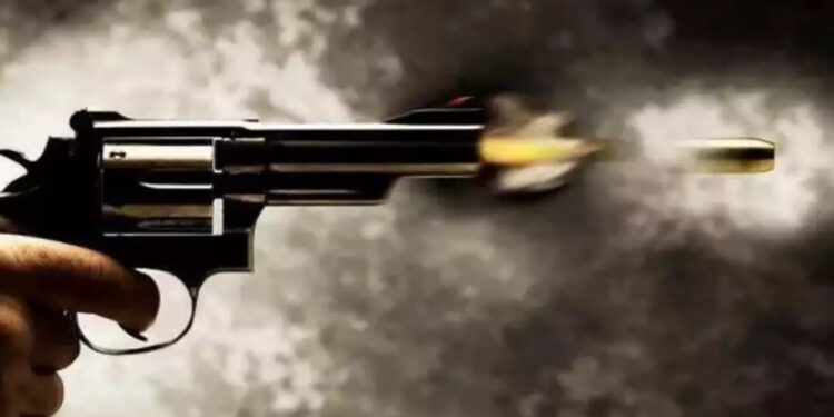 ଭିଣୋଇ ଫୁଟାଇଥିବା ଗୁଳିରେ ଶଳା ମୃତ