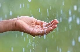 ଦାନା ବାନ୍ଧୁଛି ଲଘୁଚାପ