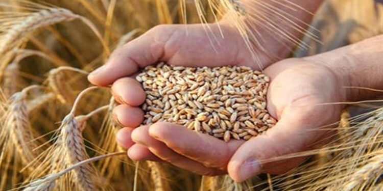 ବଜାର ଆବଶ୍ୟକତା ପୂରଣ ପାଇଁ ପର୍ଯ୍ୟାପ୍ତ ପରିମାଣର ଗହମ ମହଜୁଦ ରହିଛି: କେନ୍ଦ୍ର