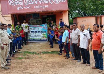 ବଜ୍ରକୋଟ ପ୍ରାଥମିକ ବିଦ୍ୟାଳୟରେ ବନ ମହୋତ୍ସବ ପାଳିତ 