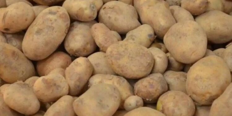 ଖସୁନି ଆଳୁ ଦର