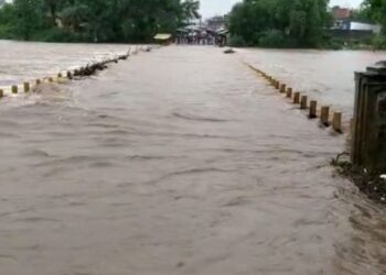ମାଲକାନଗିରିରେ ଲଗାଣ ବର୍ଷା