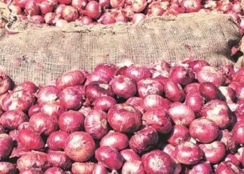 ଆଳୁର ରେକର୍ଡ କାଟିଲା ପିଆଜ