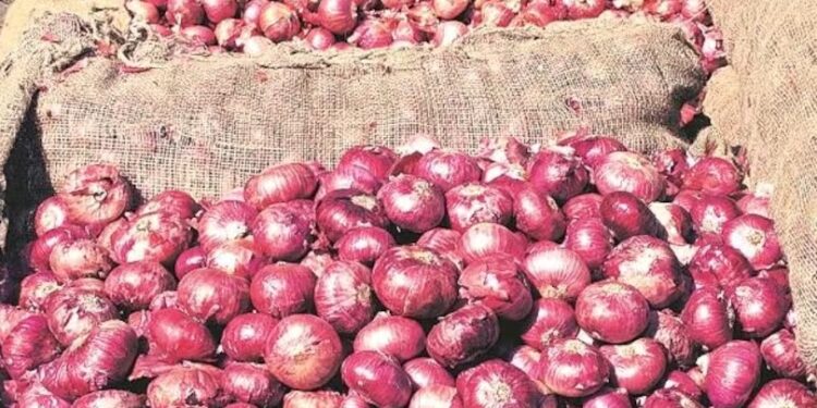 ଆଳୁର ରେକର୍ଡ କାଟିଲା ପିଆଜ