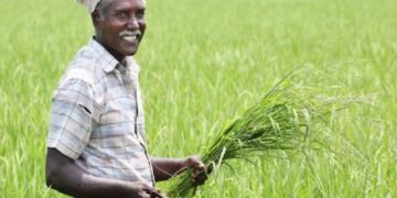 ବଢ଼ିଲା ପ୍ରଧାନମନ୍ତ୍ରୀ ଫସଲ ବୀମା ଯୋଜନାରେ ଆବେଦନ ଅବଧି