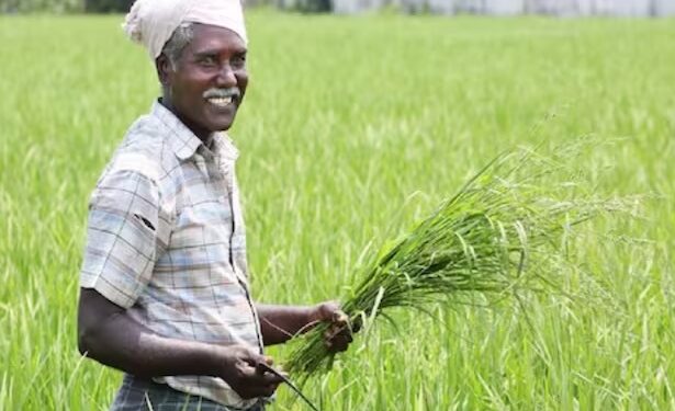 ବଢ଼ିଲା ପ୍ରଧାନମନ୍ତ୍ରୀ ଫସଲ ବୀମା ଯୋଜନାରେ ଆବେଦନ ଅବଧି