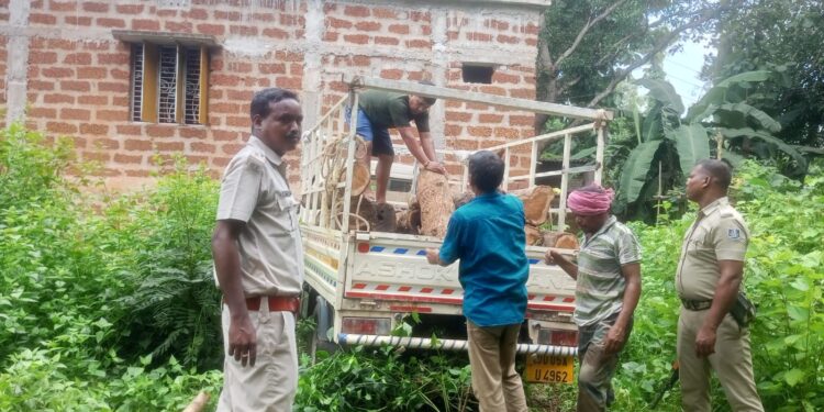 ବେଆଇନ ଶାଗୁଆନ କାଠ ଜବତ