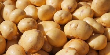 ଆଳୁ ଦରରେ ସାମାନ୍ୟ ସୁଧାର