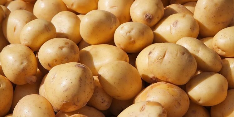 ଆଳୁ ଦରରେ ସାମାନ୍ୟ ସୁଧାର