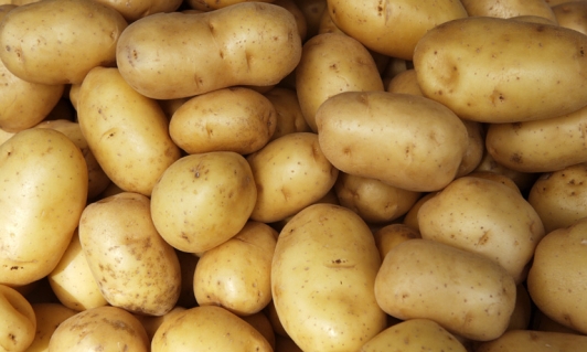 ରାଜ୍ୟରେ କେଜି ପ୍ରତି ୪୦ ତଳକୁ ଖସୁନି ଆଳୁ ଦର