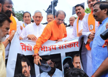 ମୁଖ୍ୟମନ୍ତ୍ରୀ ସିନ୍ଦେଙ୍କ ଫଟୋରେ ଉଦ୍ଧବ ଠାକରେଙ୍କ ଜୋତା ମାଡ଼: କଡ଼ା ବିରୋଧ କଲେ ସଞ୍ଜୟ ନିରୁପମ୍