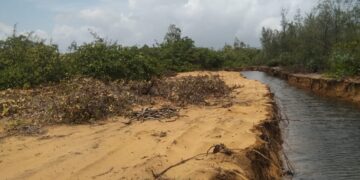 ସରକାରୀ ଜମିରୁ ଦିନ ଦ୍ୱିପ୍ରହରରେ ତାଡ଼ି ନେଉଛନ୍ତି ବାଲି! ପ୍ରଶାସନ ନିରବଦ୍ରଷ୍ଟା