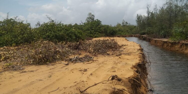 ସରକାରୀ ଜମିରୁ ଦିନ ଦ୍ୱିପ୍ରହରରେ ତାଡ଼ି ନେଉଛନ୍ତି ବାଲି! ପ୍ରଶାସନ ନିରବଦ୍ରଷ୍ଟା