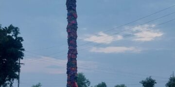 ଅଳଗୁମ କାଠି ଯାତ୍ରାରେ ଶ୍ରଦ୍ଧାଳୁଙ୍କ ସମାଗମ