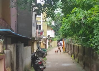 ମହତାବ ରୋଡ଼ରେ ବୁଲା କୁକୁରଙ୍କ ଉପଦ୍ରବ