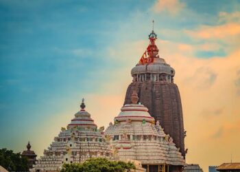 ନିଲାମ ହେଲା ଅର୍ପଣ ଚାଉଳ