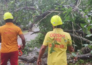 ବାଲେଶ୍ବରରେ ଆରମ୍ଭ ହୋଇଗଲାଣି ତାଣ୍ଡବ, ଗଛ ଉପୁଡି ରାସ୍ତା ଅବରୋଧ