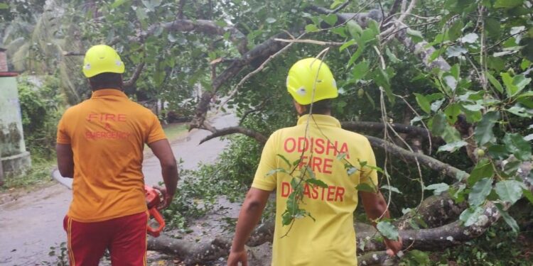 ବାଲେଶ୍ବରରେ ଆରମ୍ଭ ହୋଇଗଲାଣି ତାଣ୍ଡବ, ଗଛ ଉପୁଡି ରାସ୍ତା ଅବରୋଧ